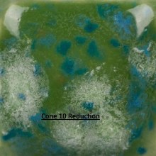 Additional picture of S2715 -  Spotted Kiwi  Cone 06-10, Pint