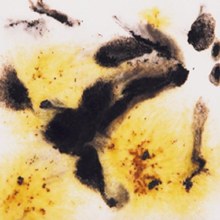 S2726 -  Cheetah  Cone 06-10, Pint