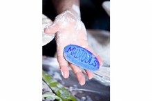 Additional picture of MTR Workhorse Mudsponge- Blue