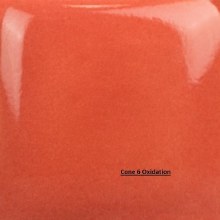 Additional picture of SC89 -  Cutie Pie Coral  Cone 06-10, Pint