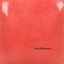 Additional picture of SC89 -  Cutie Pie Coral  Cone 06-10, Pint