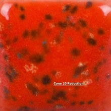 Additional picture of SP288 -  Speckled Tu Tu Tango  Cone 06-10, Pint