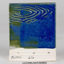 Additional picture of SW-100 Blue Surf  Pint Cone 5-10