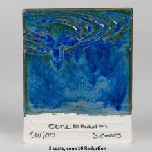Additional picture of SW-100 Blue Surf  Pint Cone 5-10