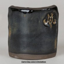 Additional picture of SW-112 Tiger's Eye  Pint Cone 5-10