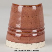 Additional picture of SW-113 Speckled Plum  Pint Cone 5-10