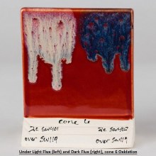 Additional picture of SW-119 Cinnabar  Pint Cone 5-10