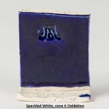 Additional picture of SW-123 Sapphire  Pint Cone 5-10