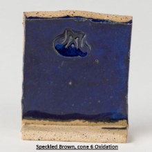 Additional picture of SW-123 Sapphire  Pint Cone 5-10