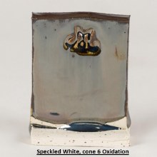 Additional picture of SW-132 Mirror Black  Pint Cone 5-10 (CL Label)