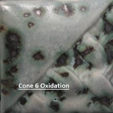 Additional picture of SW-147 Moonscape  Pint Cone 5-10
