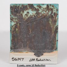 Additional picture of SW-147 Moonscape  Pint Cone 5-10