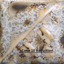 Additional picture of SW-155 Winter Wood  Pint Cone 5-10