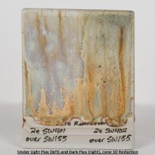 Additional picture of SW-155 Winter Wood  Pint Cone 5-10