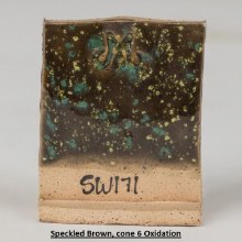 Additional picture of SW-171 Enchanted Forest Pint Cone 5-10