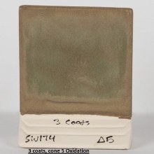 Additional picture of SW-174 Leather Pint Cone 5-10