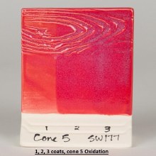 Additional picture of SW-177 Raspberry Mist  Pint Cone 5-10