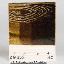 Additional picture of SW-178 Fool's Gold  Pint Cone 5-10