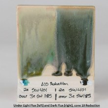 Additional picture of SW-185 Rainforest Pint Cone 5-10 (CL Label)