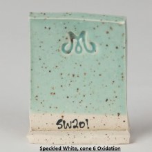 Additional picture of SW201 - Turquoise Cone 5-10