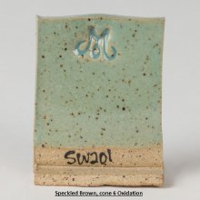 Additional picture of SW201 - Turquoise Cone 5-10