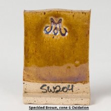 Additional picture of SW204 - Amber Topaz Cone 5-10