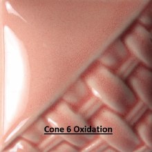 SW-205 Coral  Pint Cone 5-10