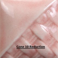 Additional picture of SW205 - Coral  Cone 5-10