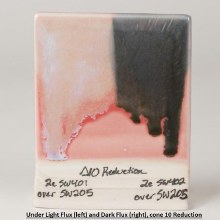 Additional picture of SW205 - Coral  Cone 5-10