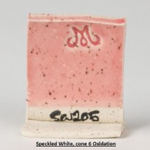 Additional picture of SW205 - Coral  Cone 5-10