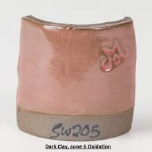 Additional picture of SW205 - Coral  Cone 5-10