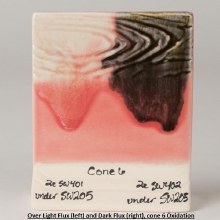 Additional picture of SW205 - Coral  Cone 5-10