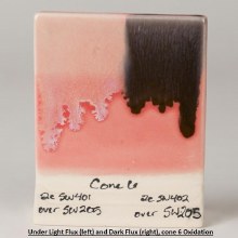 Additional picture of SW205 - Coral  Cone 5-10