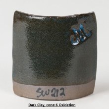 Additional picture of SW212 - Peacock Cone 5-10