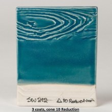 Additional picture of SW212 - Peacock Cone 5-10