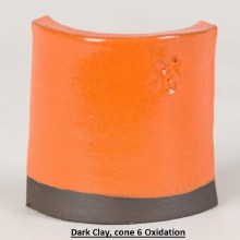 Additional picture of SW503 - Orange Gloss Cone 5-10