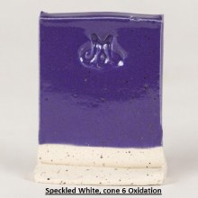 Additional picture of SW505 - Purple Gloss Cone 5-10