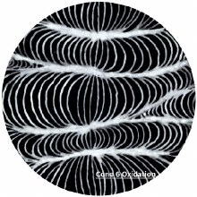 Additional picture of SG402 - White Liner Cone 06-10, 1oz