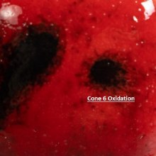 Additional picture of CG-984  Ladybug  Cone 06-10, 4oz