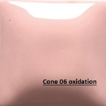 FN-005 Pink Cone 06-10, 4oz