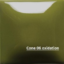 FN-021 Olive Green Cone 06-10, 4oz