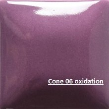 FN-036 Grape Cone 06-10, 4oz