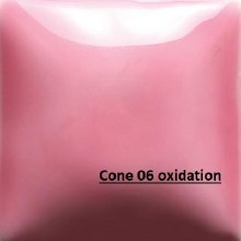 FN-048 Bright Pink Cone 06-10, 4oz