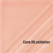 FN-209 Floral Pink Cone 06-10, 4oz