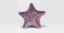 Additional picture of S2703 - Berryberry Pie Cone 06-10, 4oz