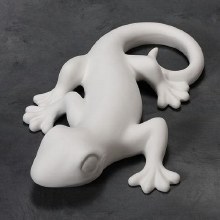 CD715 Gecko, Medium