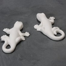 Additional picture of CD716 - Geckos, 2- Small