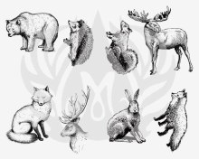 DSS-0101 - Woodland Animals Designer Silkscreen