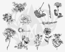 DSS-0112 - Flowers Designer Silkscreen