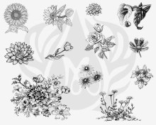 DSS-0138 - Flowers #2 Designer Silkscreen